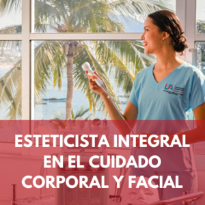 Licenciatura3