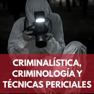 Licenciatura4