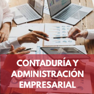 Licenciatura4